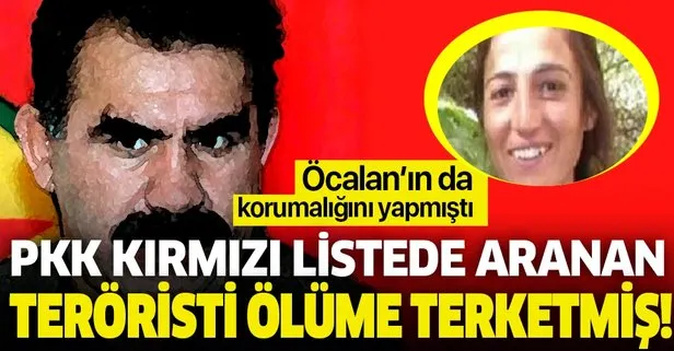 Kırmızı listede aranan PKK’lı Hafize Özdemir ölü bulunmuştu! O detay telsiz konuşmalarında ortaya çıktı