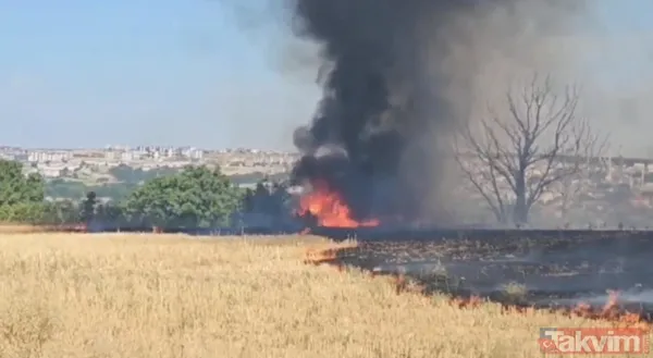 Edirne'de yangın, hayvanların barındığı ağıla sıçradı! - 9
