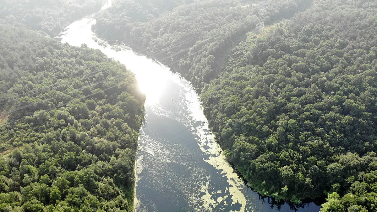 İstanbul'da ürküten manzara! Elmalı baraj suyu yeşile döndü - 3