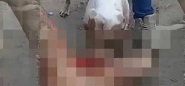 Çete üyelerinden tecavüzcü adama akılalmaz ceza! Cinsel organını parçaladılar-2