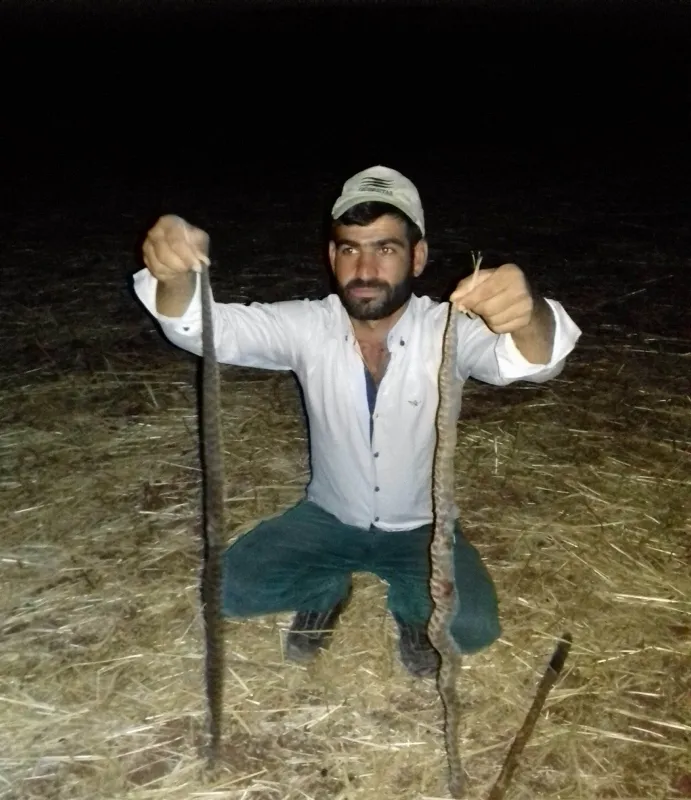 Bu köyde kimse uyuyamıyor - 1