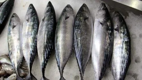 esi-vefat-etmis-kadinlara-konut-destegi-saglanacak-ekonomi-haberleri-1666651053148.jpeg Eşi vefat etmiş kadınlara konut desteği sağlanacak | Ekonomi haberleri-4