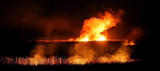 Göksu Deltası’nda yangın! Alevler içinde kaldı