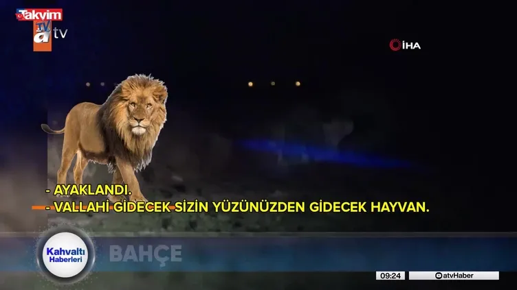 Antalya’da Aslan saldırısı