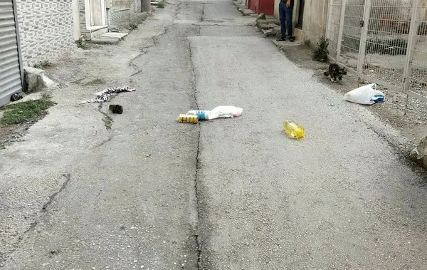 Bursa'da korkunç görüntü! Fuhuşa zorladıkları İrem'i zorla araca bindirip kaçırdılar-3