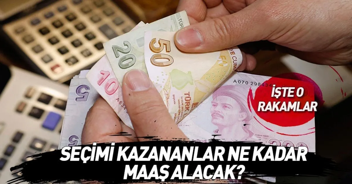 belediye baskani belediye meclis uyesi