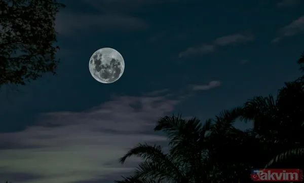 Asla pes etmezler! Zodyak'ın en kararlı 4 burcu: Listede siz de varsınız - 1