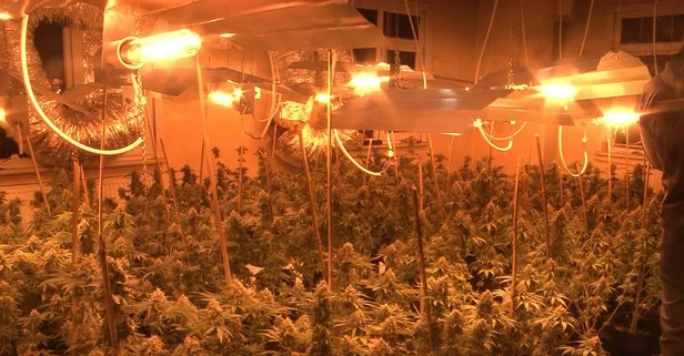 Son dakika: İstanbul'da uyuşturucu operasyonu! Tam 1 milyon lira değerinde!