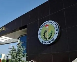 Bakanlık yeni müjde! Bu ay açıklanacak
