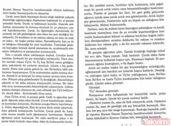 Abdullah Şevki'den sonra bir pedofili skandalı da FETÖ gelini Elif Şafak'tan! - 7