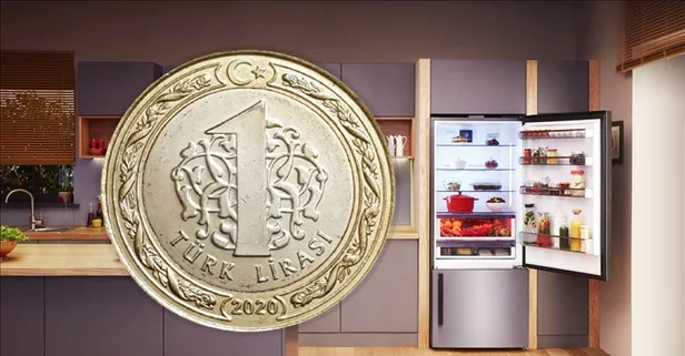 1 haftada etkisi inanılmaz! Buzdolabına 1 TL bozuk para koyan sonuca inanamıyor