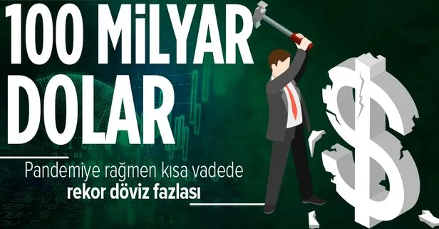 Kısa vadede tarihin en yüksek döviz fazlası: 100 milyar dolarlık açık pozisyon kapandı