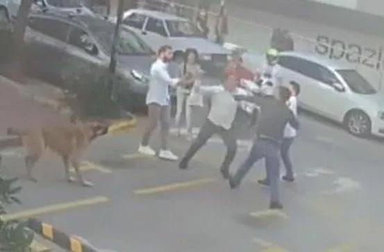 hatice-yusuf-tekeli-ciftinin-yurekleri-isitan-hikayesi-1653253378667.jpeg Hatice-Yusuf Tekeli çiftinin yürekleri ısıtan hikayesi!-4