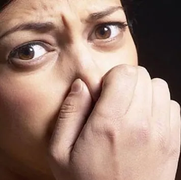 Ağız kokusuna kekik