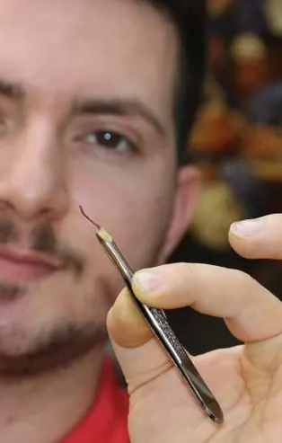 Cımbızla toplanılıyor! Araba fiyatına satılıyor...