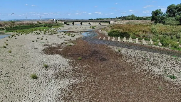Son dakika: Büyükçekmece Gölü'nde korkutan görüntü! "Daha önce hiç bu kadar kurumamıştı"-3