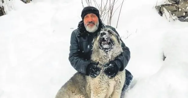 Can dogstum! Erzurum’da kurt dehşeti: Canını zor kurtardı