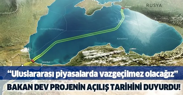 TürkAkım ile ilgili önemli açıklama