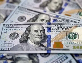 Merkez Bankası yıl sonu dolar tahminini açıkladı