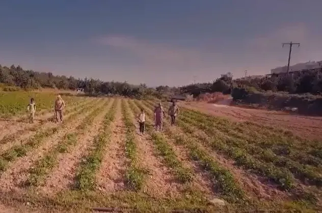 Başkan Erdoğan "Hasat Bayramı"nı kutladı