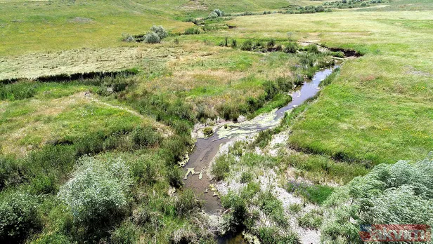 Müge Anlı günlerce işlemişti! Kan donduran Leyla Özdemir cinayetinde flaş gelişme