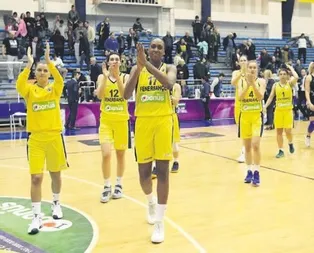 Dişi Kanarya’dan farklı tarife