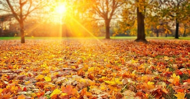 ruyada eski sevgiliyi gormek ne anlama gelir takvim