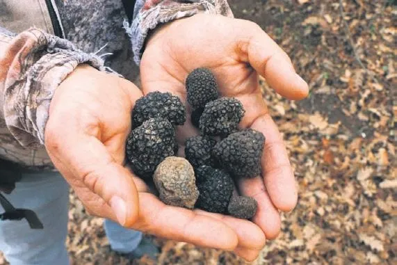 sosyal-destekler-artti-yasli-ayligi-1536-tl-engelli-ayligi-1840-lira-oldu-1658520797937.jpeg Sosyal destekler arttı! Yaşlı aylığı 1536 TL, engelli aylığı 1840 lira oldu-3