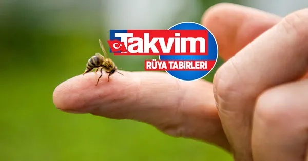 Rüyada arı öldürmek ne anlama gelir, neye işarettir? Rüyada arı