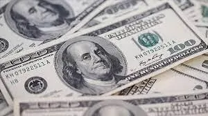 Merkez Bankası 5. müdahalenin miktarını açıkladı: 2,12 milyar dolar-3