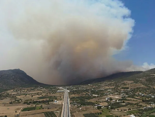 afet-bolgesi-ilan-edilince-ne-olur-afet-bolgesi-ne-demek-afet-bolgesi-ilan-edilen-yerler-nereler-1627739521900.jpg Afet bölgesi ilan edilince ne olur? Afet bölgesi ne demek? Afet bölgesi ilan edilen yerler nereler?-5