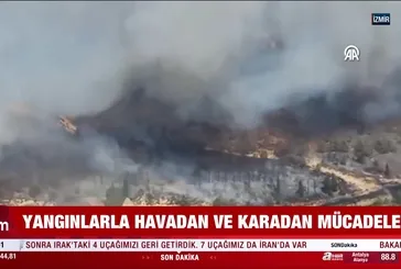 Türkiye'nin birçok noktasında yangın!
