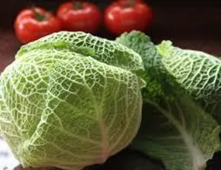 Domates&lahana kansere veda