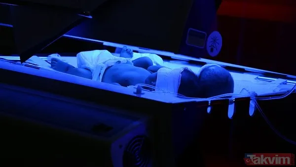 Takvim iddianameye ulaştı: İşte Yenidoğan çetesinin skandalları! Nasıl tezgah kurdular? Örgüt şeması ve gizli yazışmalar: Başımız belada - 10