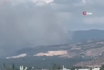 İznik'te korkutan orman yangını