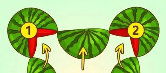 resimdeki-5-karpuzu-sak-diye-birlestirenin-hafizasi-top-10da-cikiyor-1714378218344.jpg Görseldeki 5 karpuzu bulabilir misin? Anında tespit edenin zekası en zirvelerde çıkıyor-3