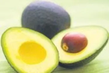 Kolesterole avokado