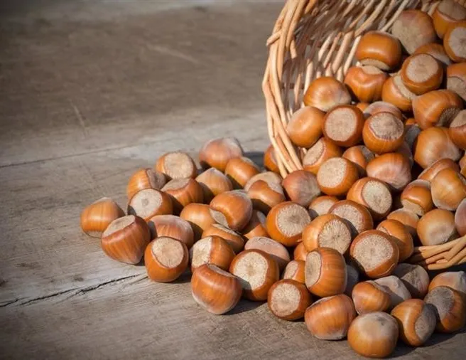 5 Nisan fındık fiyatları ne kadar oldu?