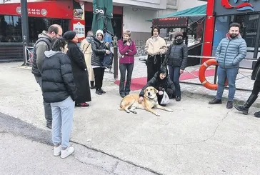 Yok böyle ’Dog’stluk