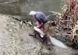 Yeşilırmak’ta boyu kadar balığı böyle yakaladı! Balık avı saniye saniye kamerada