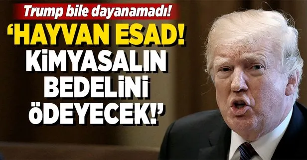 Trump’tan Esad’a: Kimyasalın bedelini ödeyeceksin!