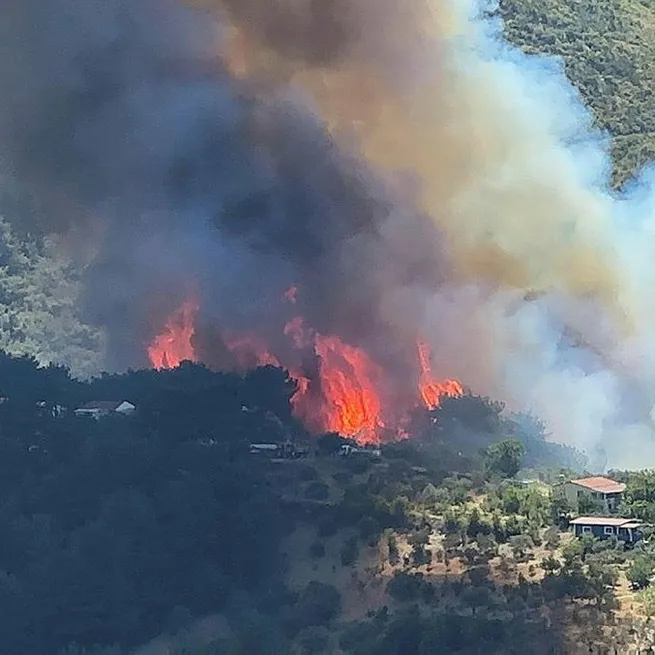 Hatay, Mersin ve Çanakkalede orman yangını! İçişleri Bakanı Ali Yerlikaya açıkladı: Hataydaki yangınla ilgili 2 kişiden biri tutuklandı