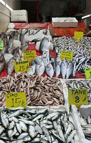 Karadeniz'de tezgahlar istavritle doldu taştı! Kilosu 10 liradan satılıyor