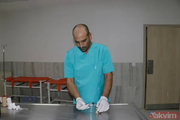 Türkiye'de ilk! Şanlıurfa'da 'yeşil sırtlı balıkçıl' görüldü - 10