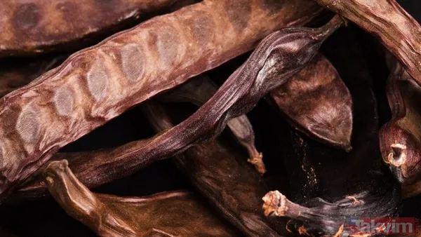 Anadolu’nun bereketi küresele taşındı! Türkiye’den 7 ürün dünya lideri - 6