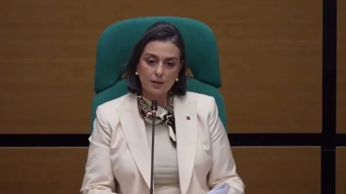 CHP'li Sinem Dedetaş'ın çelişki dolu ifadesi ortaya çıktı!