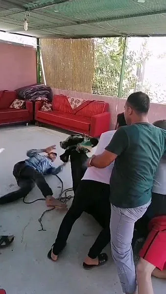 antalyada-firari-danalar-trafige-karisirken-bir-tanesi-acemi-kasabi-betona-firlatti-1596209872282.jpg Antalya’da firari danalar trafiğe karışırken bir tanesi acemi kasabı betona fırlattı-6