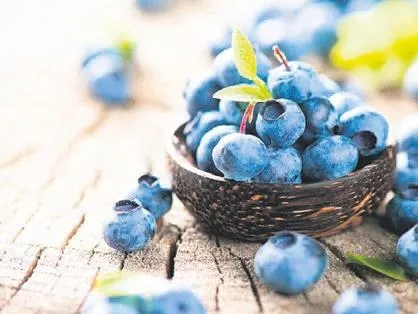 Yanlış beslenmek tiroitlere zarar veriyor! Kızılcıkla tiroitler sağlam-2