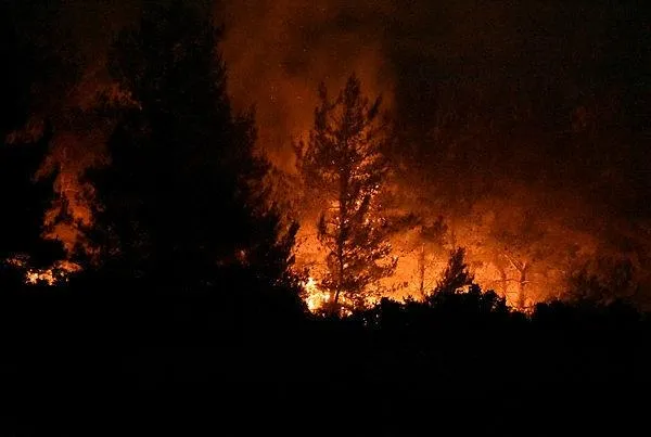 canakkale-geliboluda-orman-yangini-iste-son-durum-1594070946257.jpeg Çanakkale Gelibolu'da orman yangını! İşte son durum-2