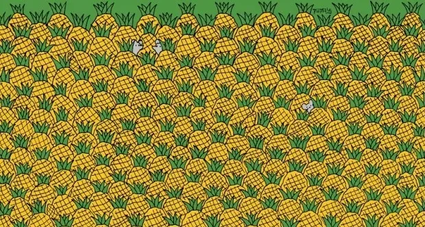 zeka-testi-ananaslarin-icindeki-4-misir-nerede-867-kisiden-33u-15-saniyede-bulabildi-1714124059927.jpg Zeka testi: Ananasların içindeki 4 mısır nerede? 867 kişiden 33'ü 15 saniyede bulabildi-3